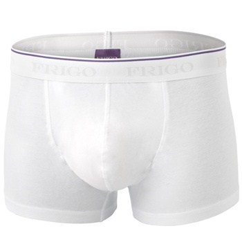 Frigo Trunk 1-2101